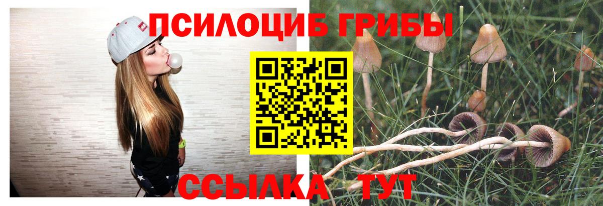 Реж  Галлюциногенные грибы мухоморы  Вход с VPN 